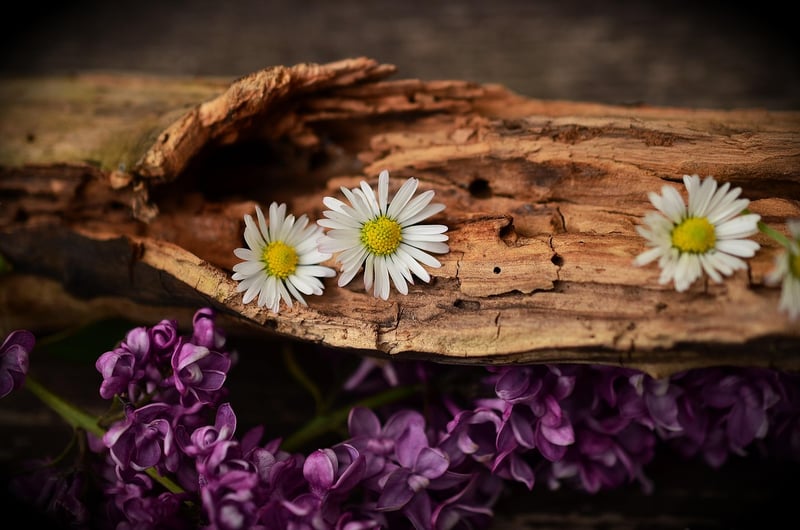 Upcycled Wooden Coasters